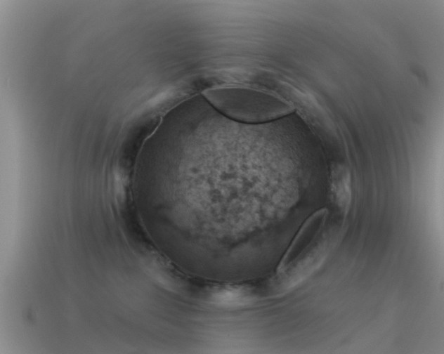 X0000114160235200910151614