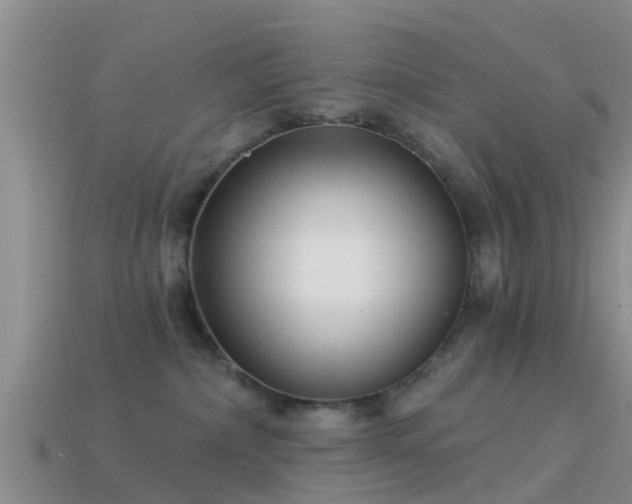 X0000114160236200910151614