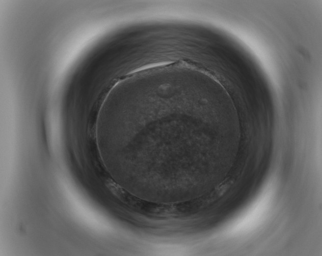 X0000114160239200910151614