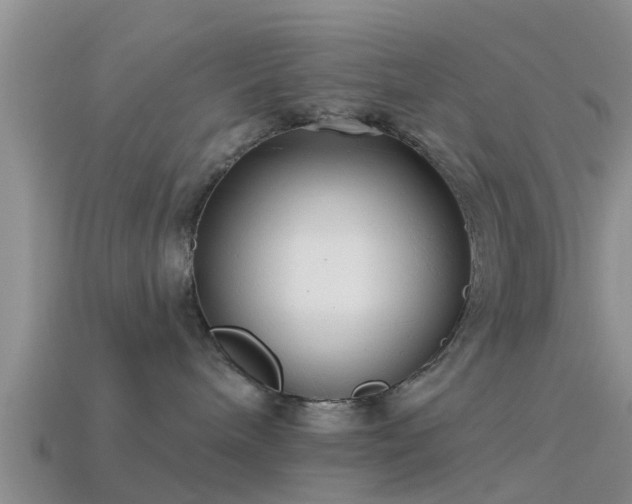 X0000114160240200910151614