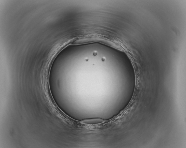 X0000114160241200910151613