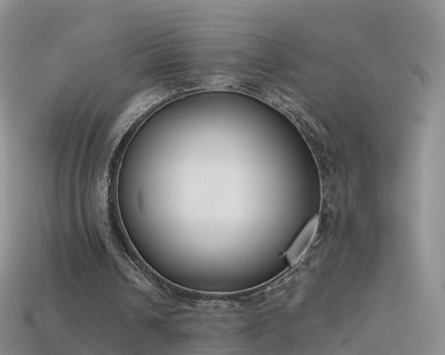 X0000114160242200910151613