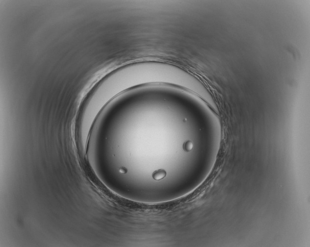 X0000114160244200910151613