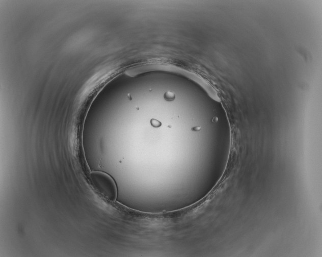 X0000114160245200910151613