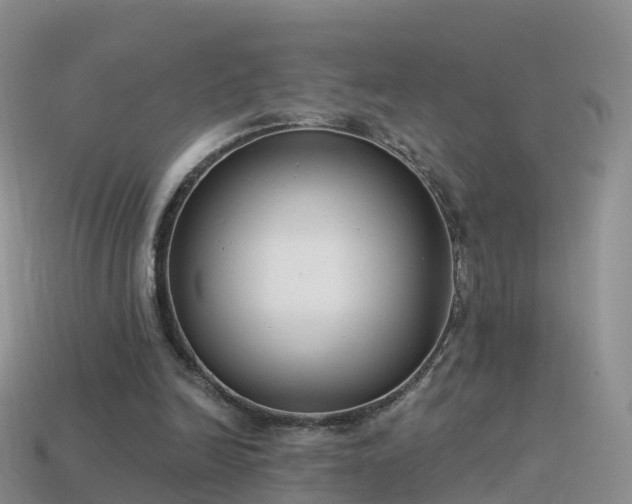 X0000114160246200910151613