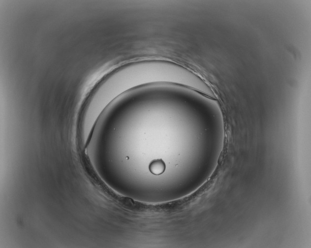 X0000114160248200910151613