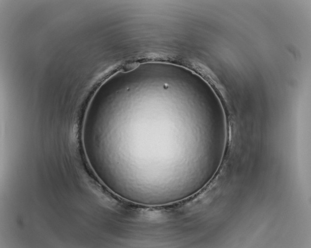 X0000114160249200910151613