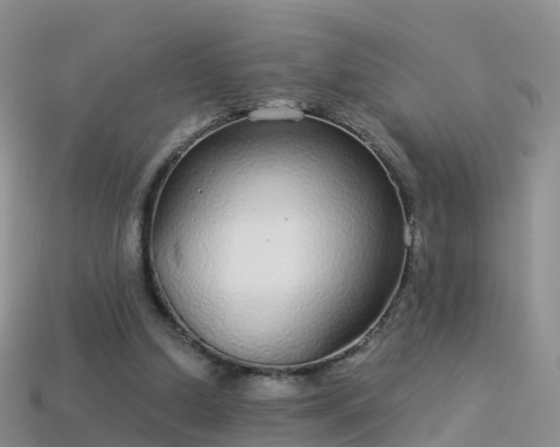 X0000114160250200910151613