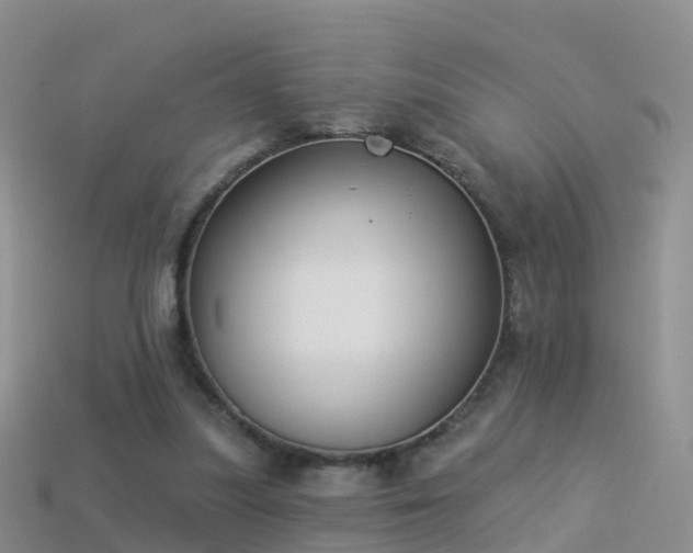 X0000114160251200910151613