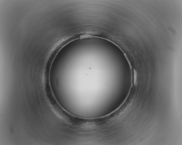 X0000114160252200910151613