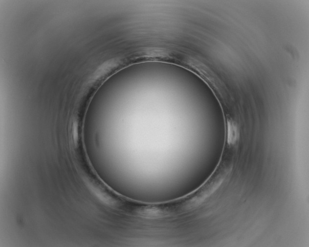 X0000114160253200910151613