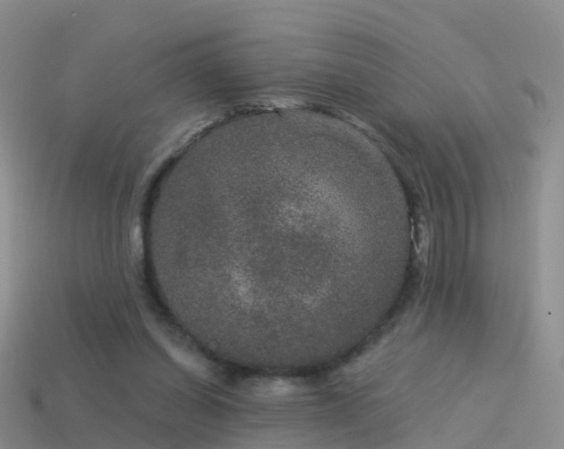 X0000114160254200910151613