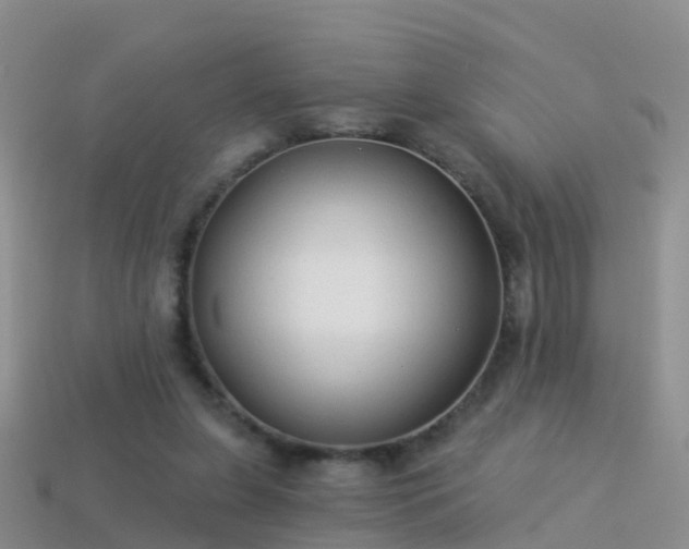 X0000114160255200910151613