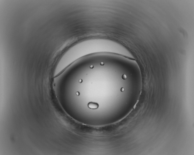 X0000114160256200910151613