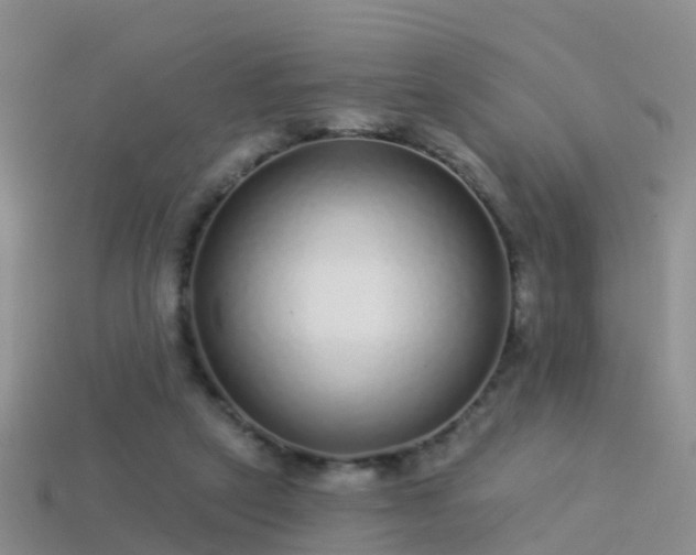 X0000114160257200910151613