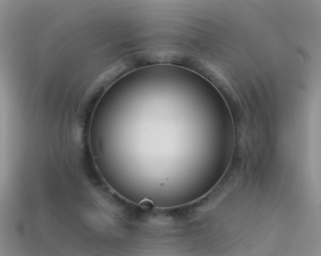 X0000114160258200910151613