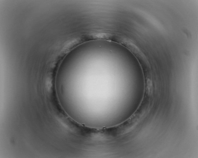 X0000114160259200910151613