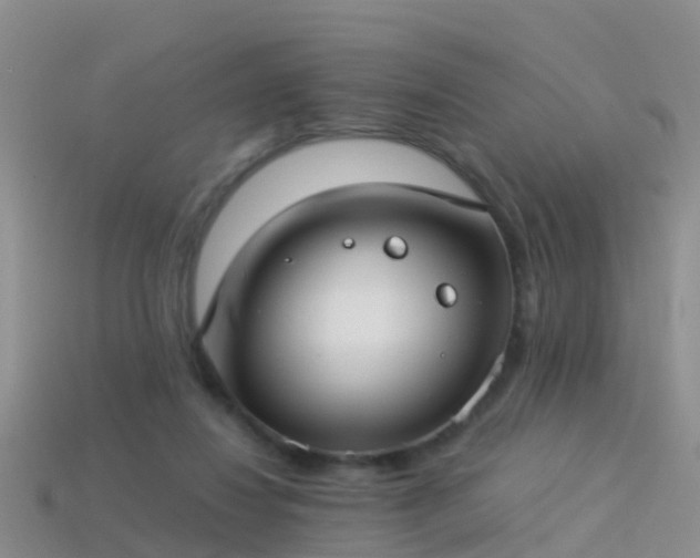 X0000114160260200910151613