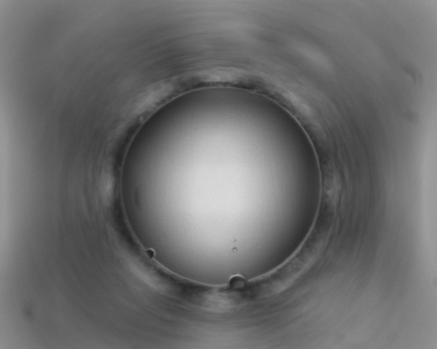 X0000114160261200910151613