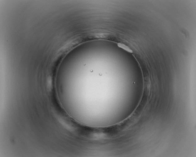 X0000114160262200910151613