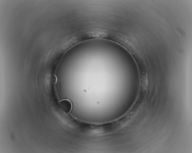 X0000114160263200910151613