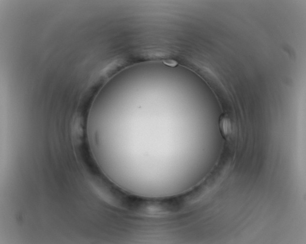 X0000114160264200910151613