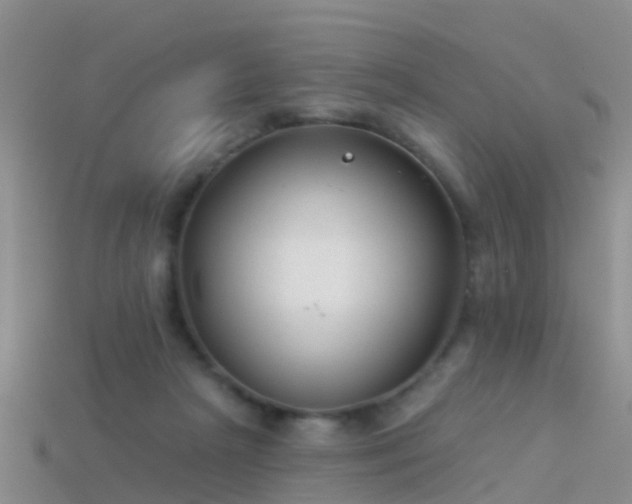 X0000114160265200910151613