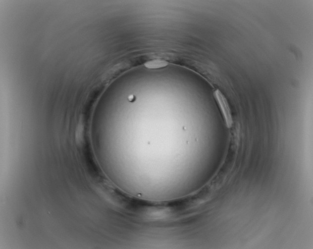 X0000114160266200910151613