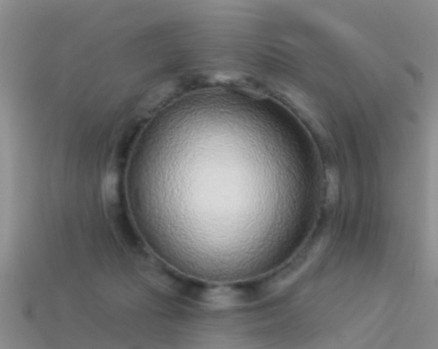 X0000114160269200910151613