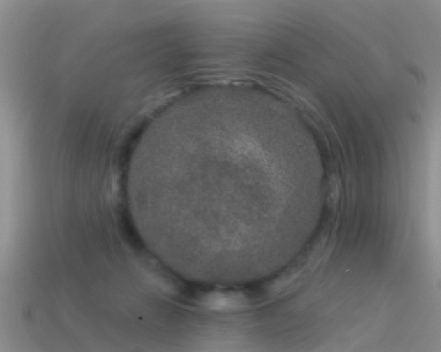 X0000114160270200910151613