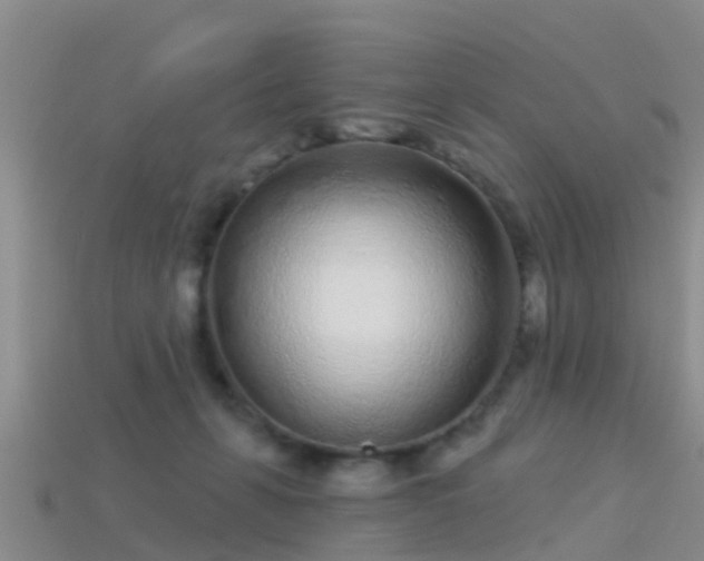 X0000114160271200910151613