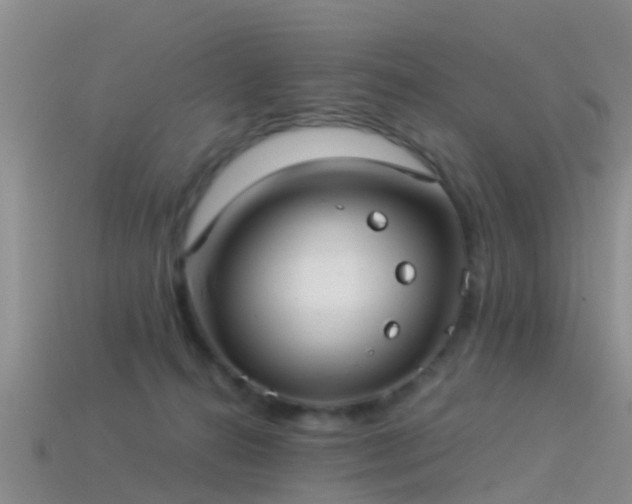 X0000114160272200910151613