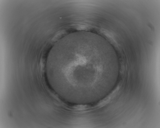 X0000114160273200910151613