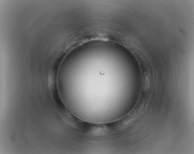 X0000114160274200910151613