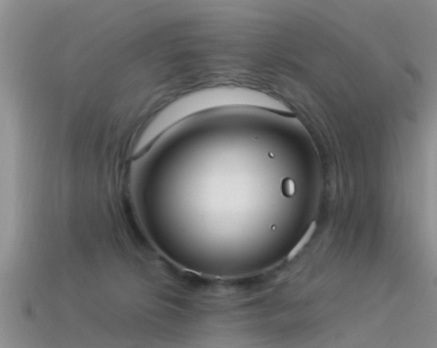 X0000114160276200910151613