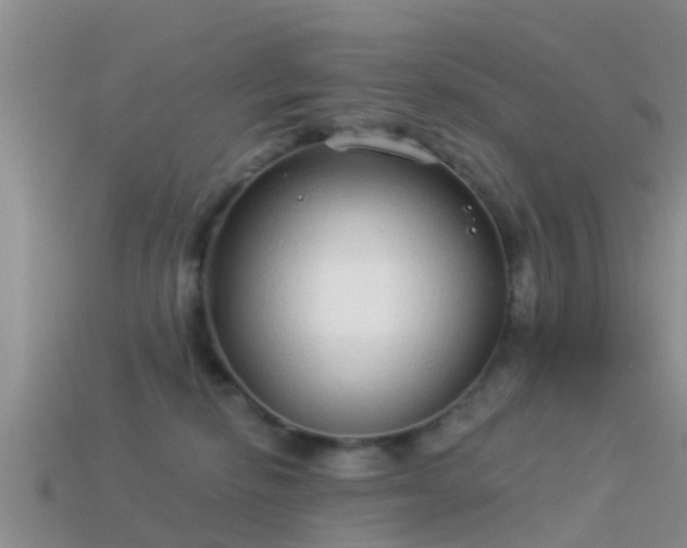 X0000114160278200910151613