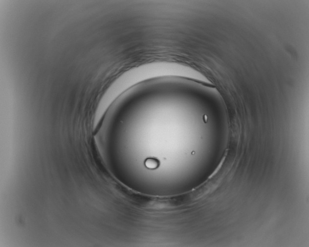 X0000114160280200910151614