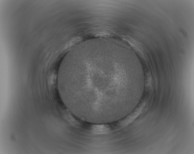 X0000114160281200910151614