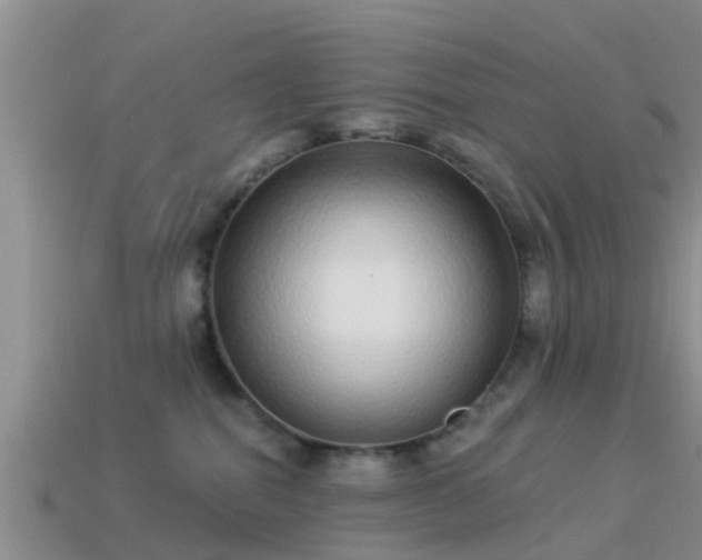 X0000114160282200910151614