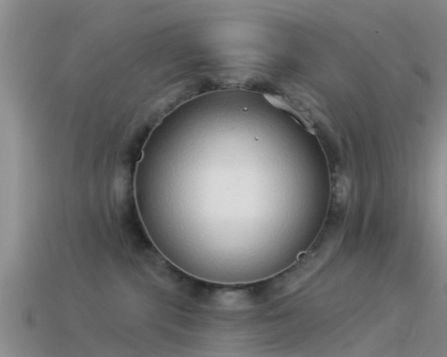 X0000114160283200910151614