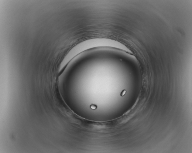 X0000114160284200910151614