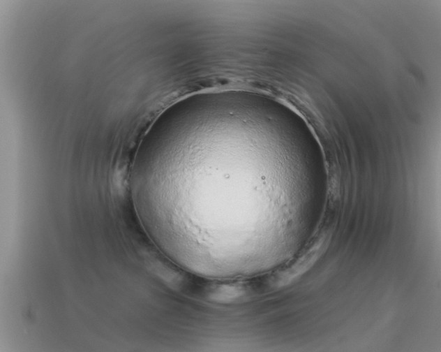 X0000114160285200910151614