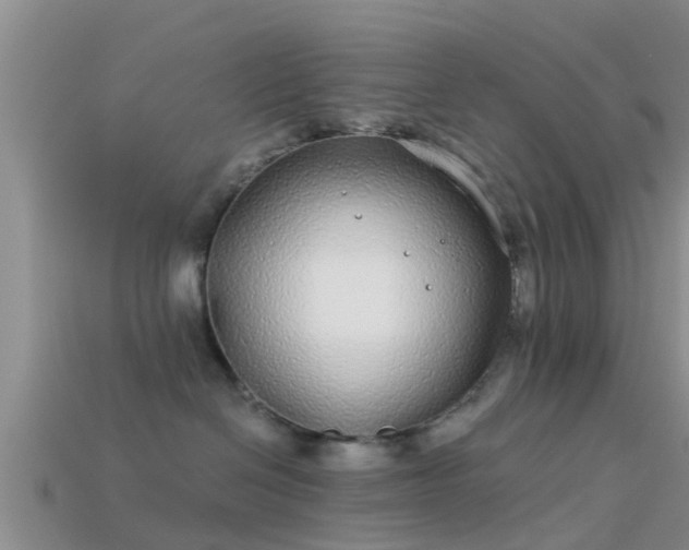 X0000114160286200910151614