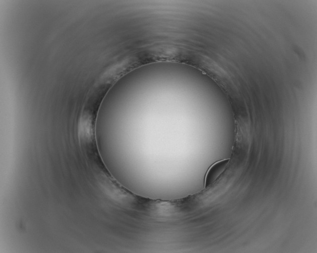 X0000114160287200910151614