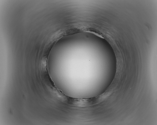 X0000114160288200910151614