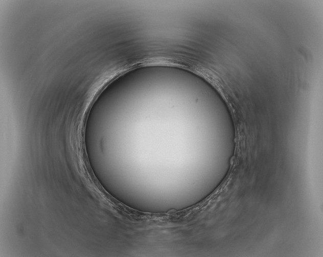 X0000114160289200910151613