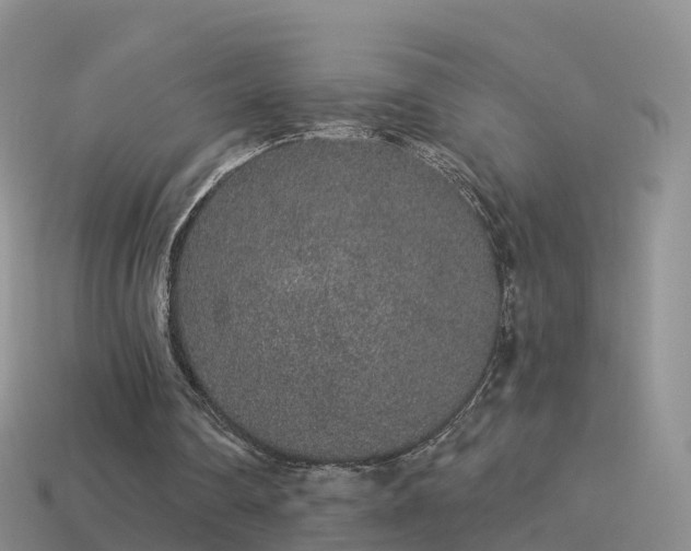 X0000114160290200910151613