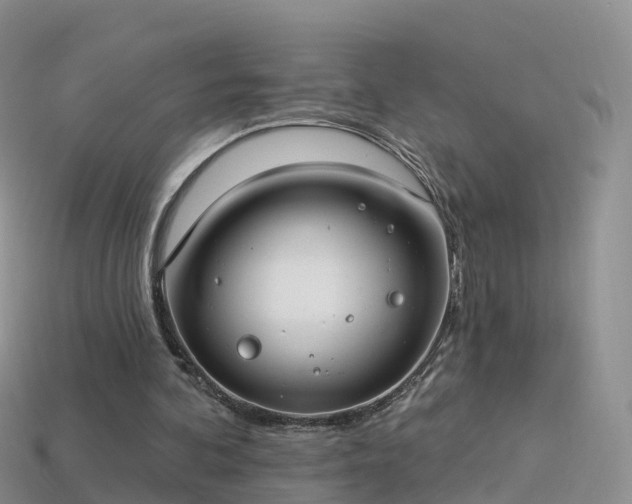 X0000114160292200910151613