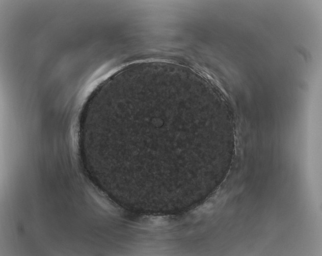 X0000114160295200910151613