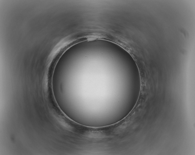 X0000114160296200910151613